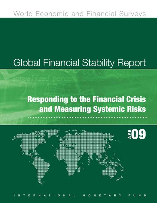 Cover of the book Global Financial Stability Report April 2009 by International Monetary Fund.  Monetary and Capital Markets Department, INTERNATIONAL MONETARY FUND