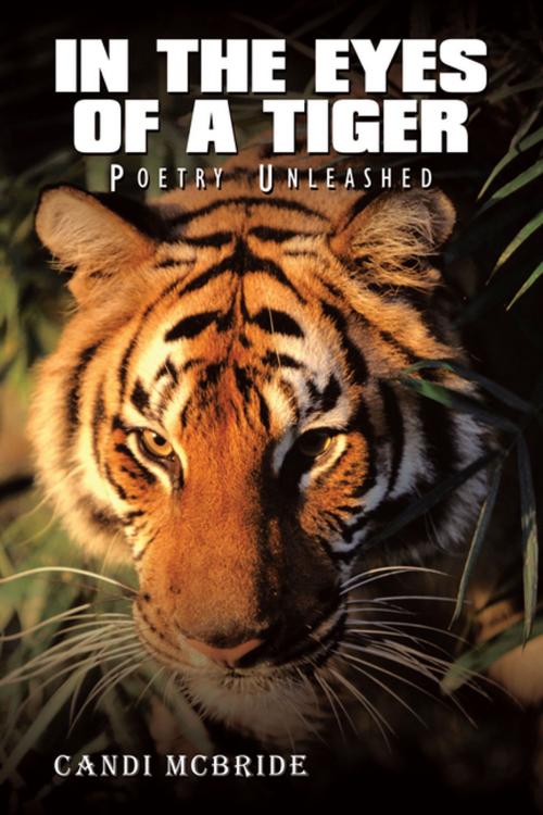 Cover of the book In the Eyes of a Tiger by Candi McBride, AuthorHouse