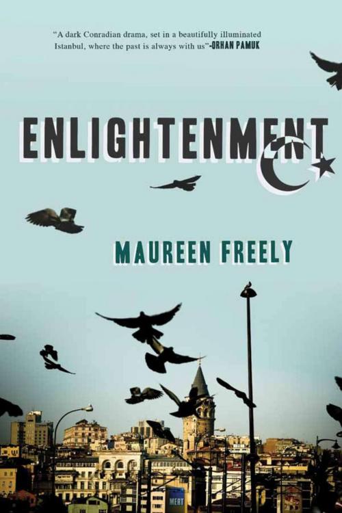 Cover of the book Enlightenment by Maureen Freely, ABRAMS