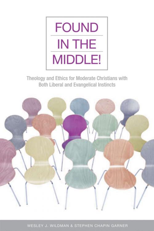 Cover of the book Found in the Middle! by Stephen Chapin Garner, Wesley J. Wildman, Rowman & Littlefield Publishers