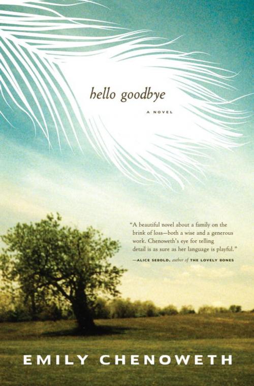 Cover of the book Hello Goodbye by Emily Chenoweth, Random House Publishing Group