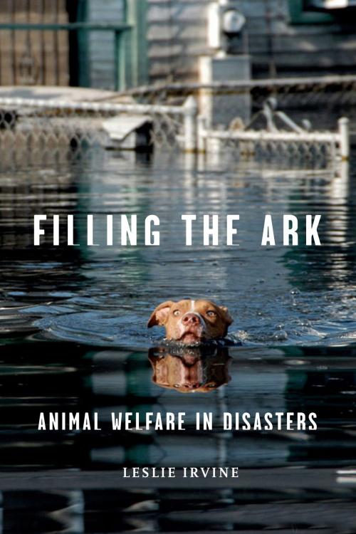 Cover of the book Filling the Ark by Leslie Irvine, Temple University Press