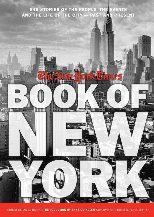 Cover of the book New York Times Book of New York by The New York Times, Mitchel Levitas, Running Press