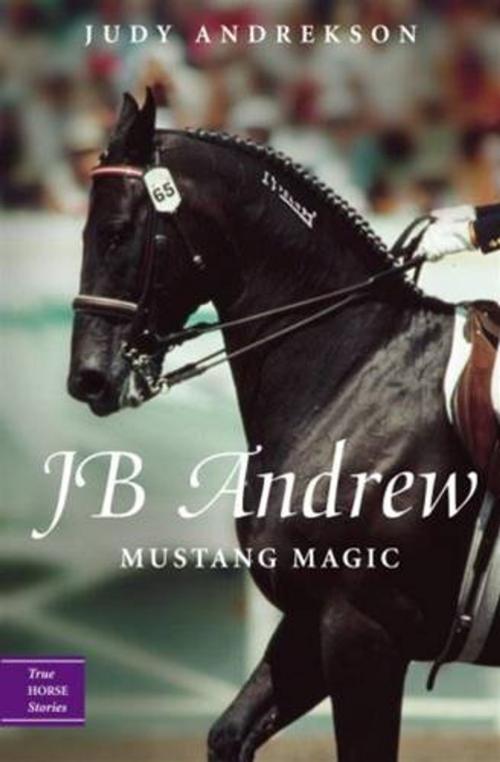 Cover of the book JB Andrew by Judy Andrekson, Tundra