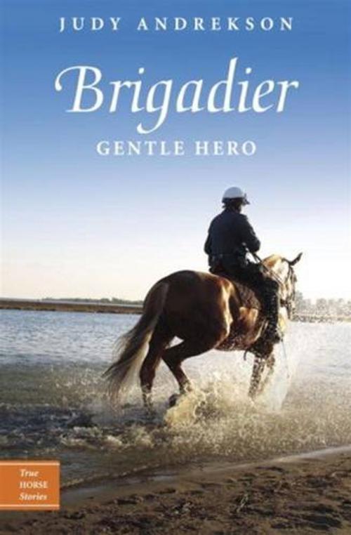 Cover of the book Brigadier by Judy Andrekson, Tundra
