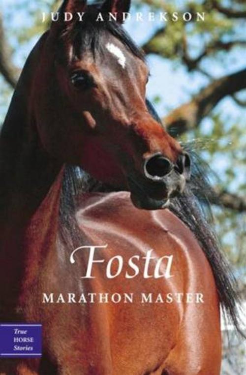 Cover of the book Fosta by Judy Andrekson, Tundra
