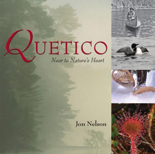 Cover of the book Quetico by Jon Nelson, Dundurn