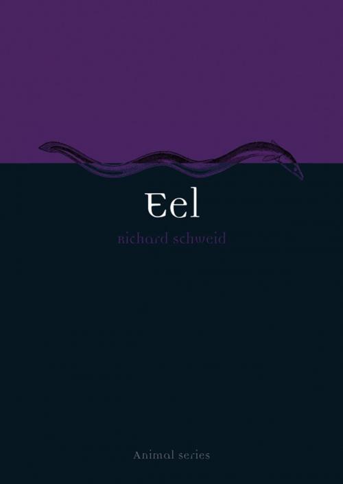 Cover of the book Eel by Richard Schweid, Richard Schweid, Reaktion Books