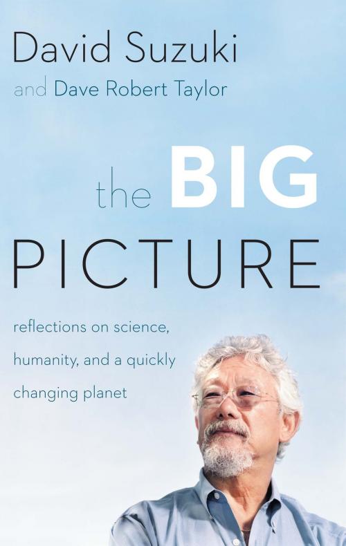 Cover of the book The Big Picture by David Suzuki, Greystone Books Ltd.