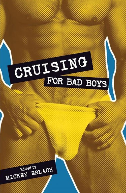 Cover of the book Cruising for Bad Boys by Mickey Erlach, STARbooks Press