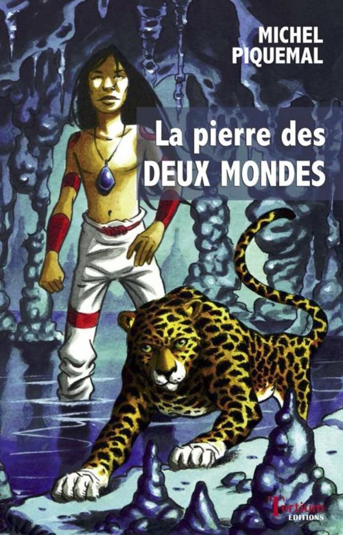 Cover of the book La pierre des deux mondes by Michel Piquemal, Tertium éditions
