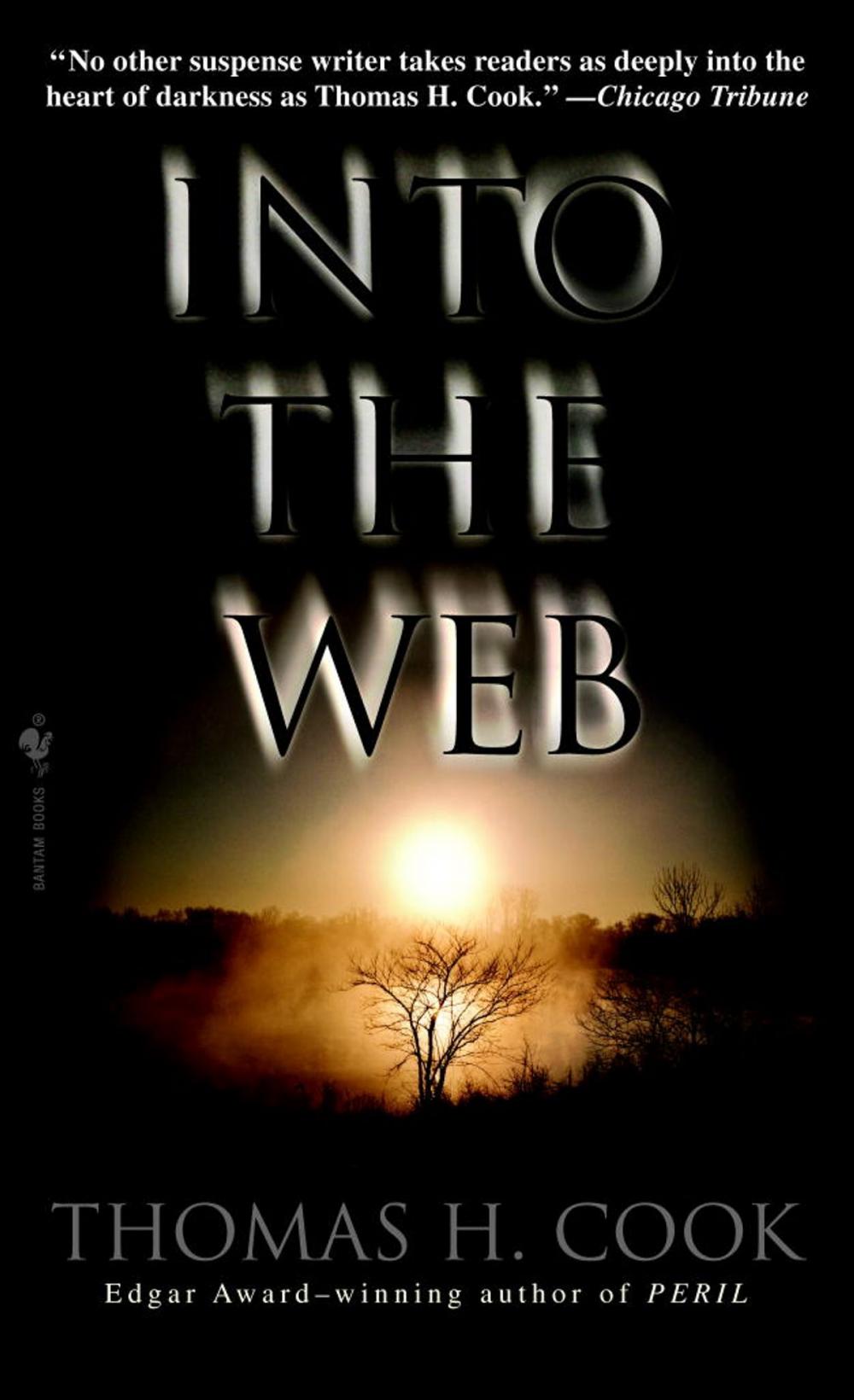Big bigCover of Into the Web