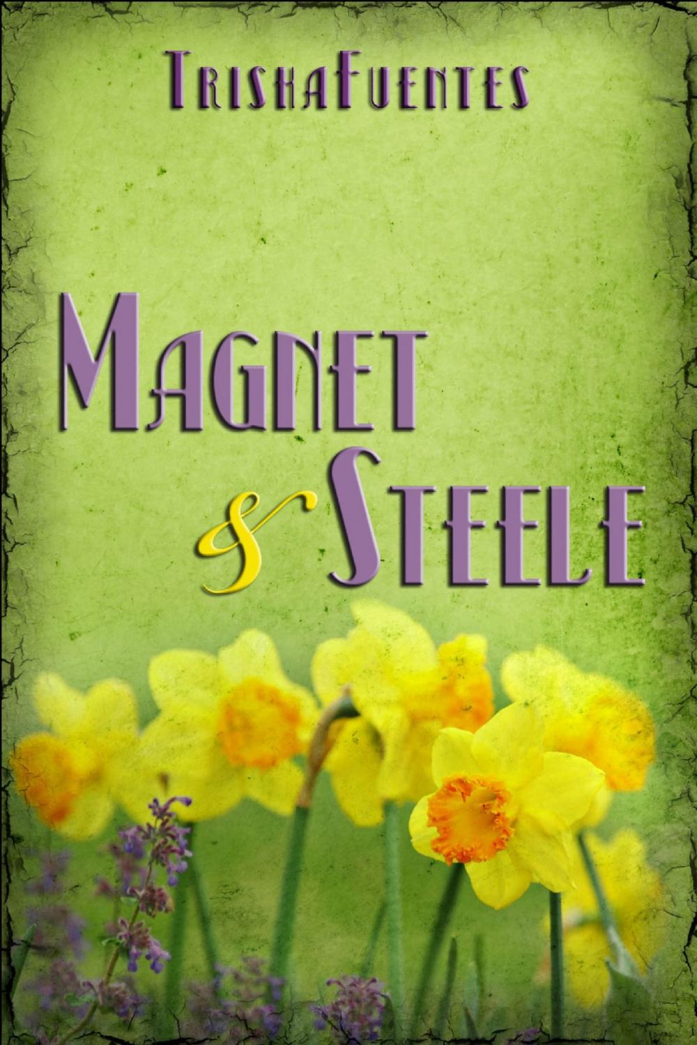 Big bigCover of Magnet & Steele