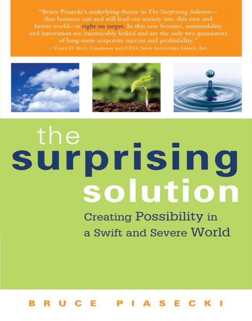 Big bigCover of The Surprising Solution