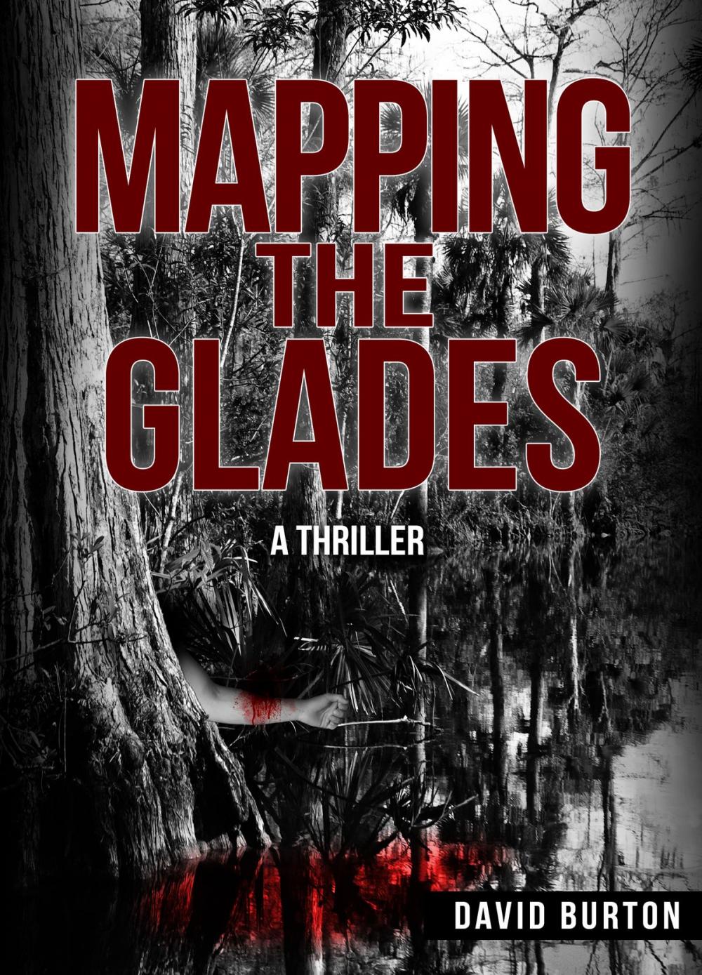 Big bigCover of Mapping the Glades