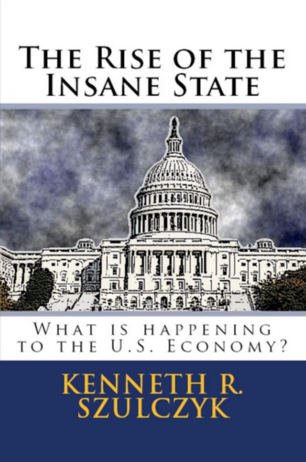 Big bigCover of The Rise Of The Insane State: What Is Happening To The U.S. Economy