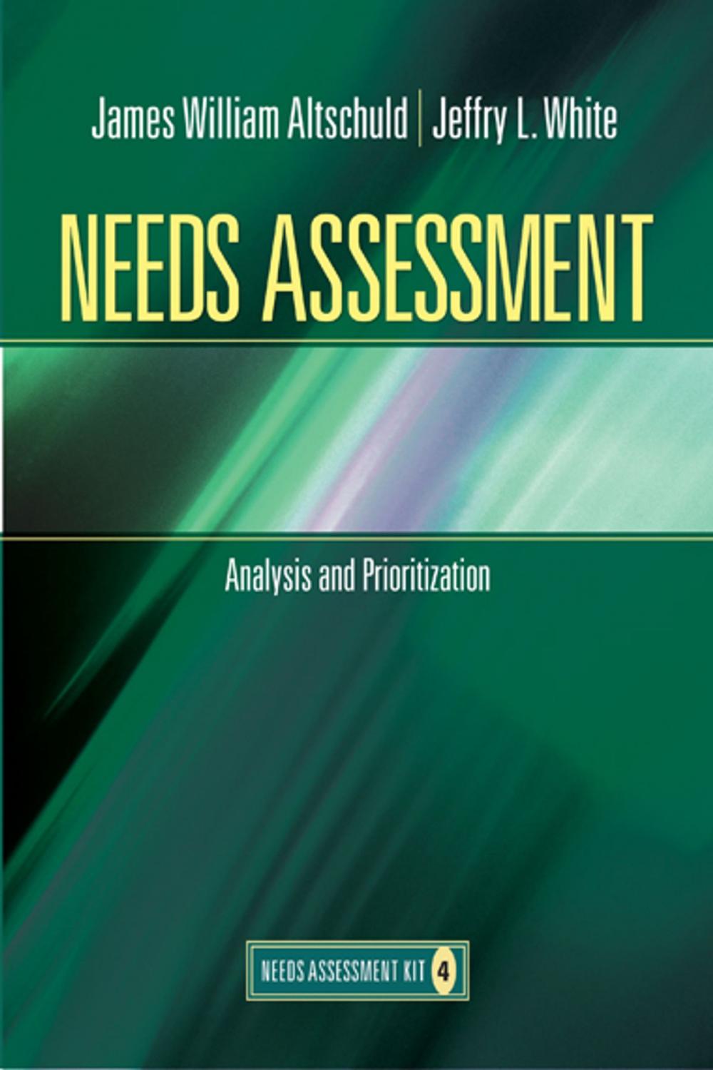 Big bigCover of Needs Assessment