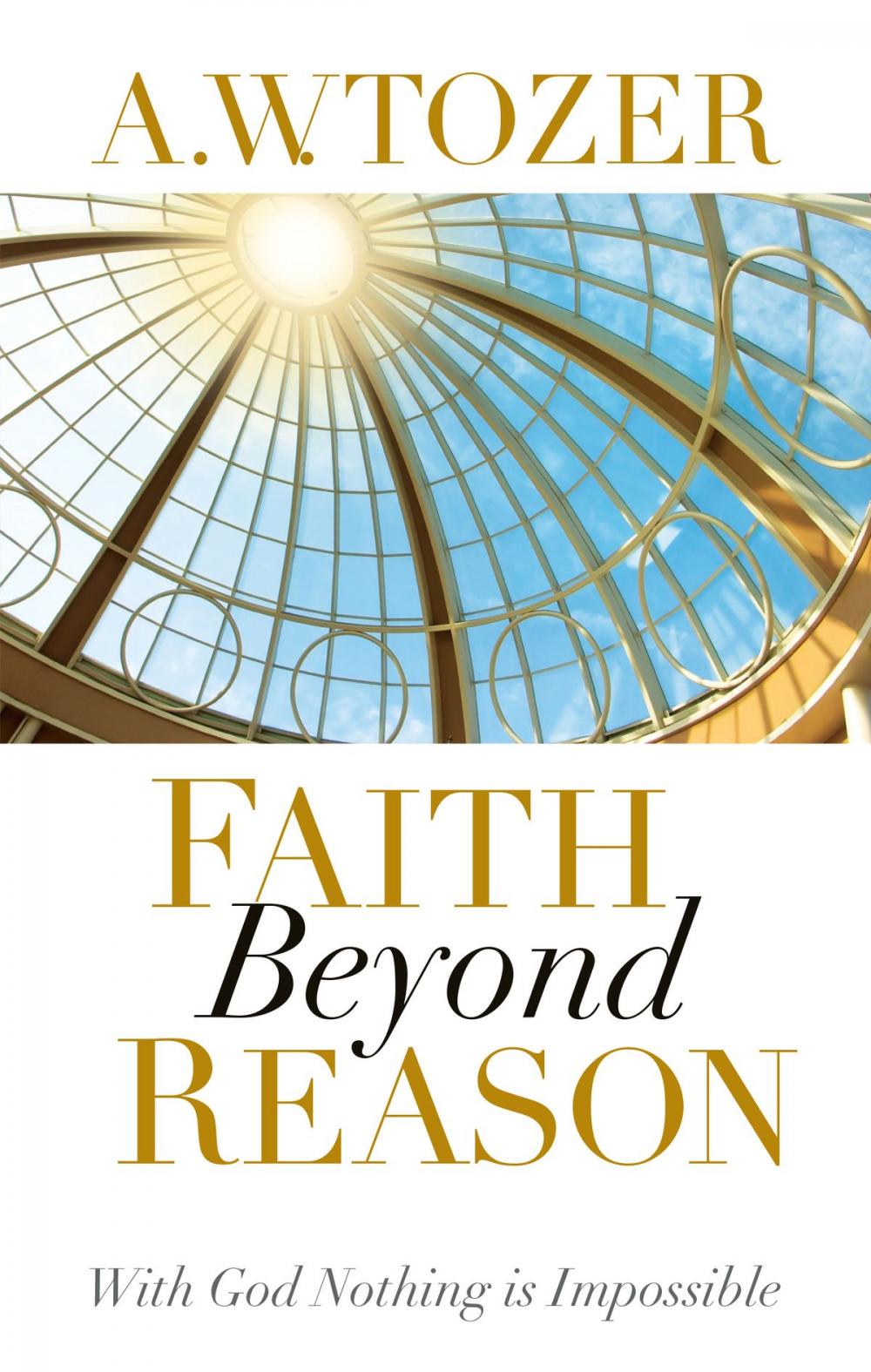 Big bigCover of Faith Beyond Reason