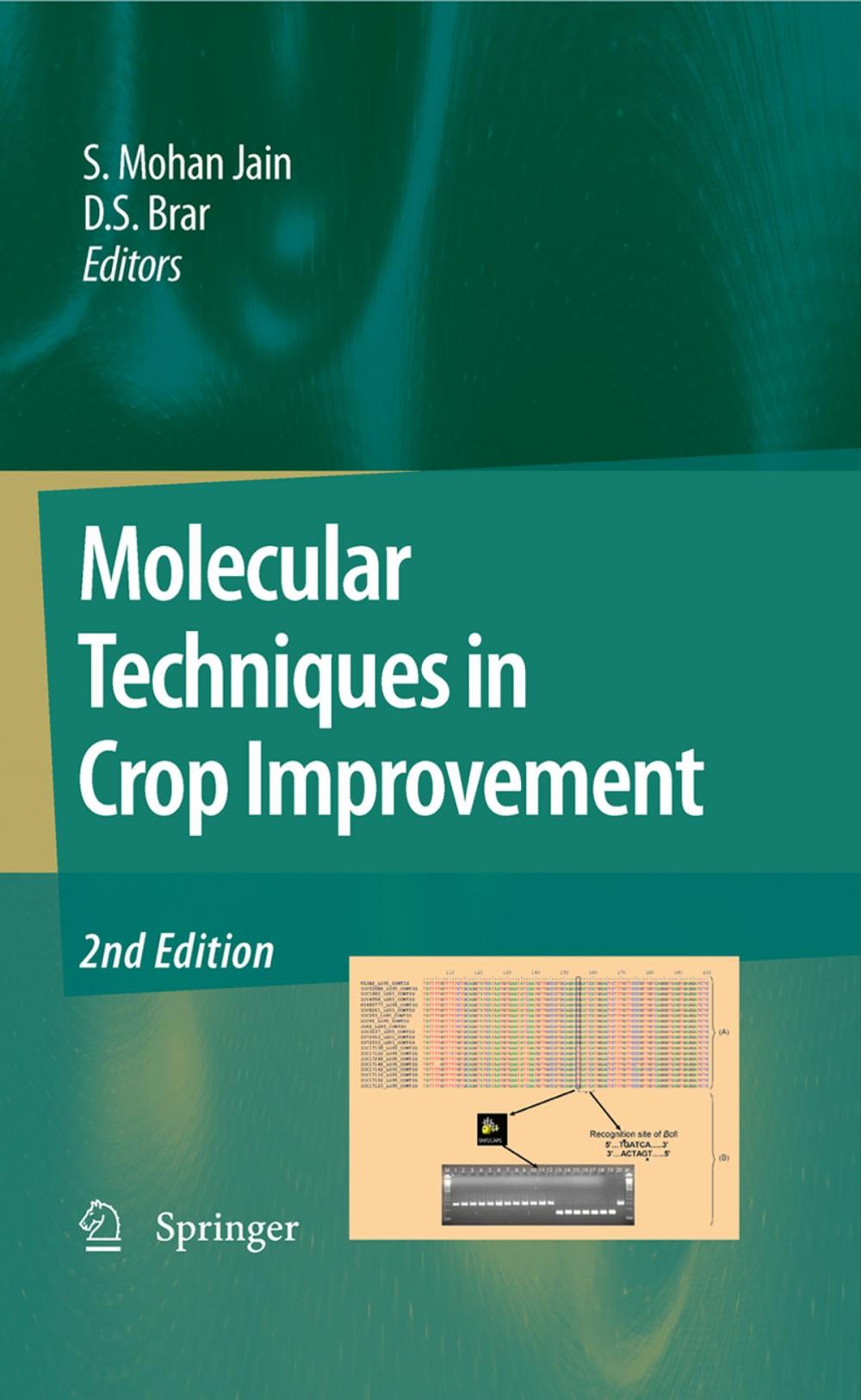 Big bigCover of Molecular Techniques in Crop Improvement