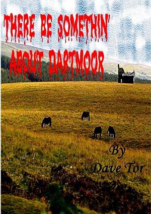Cover of the book There Be Somethin' About Dartmoor by SJ Griffin