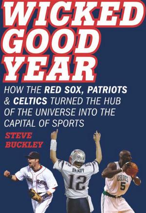 Cover of the book Wicked Good Year by Blake J. Harris