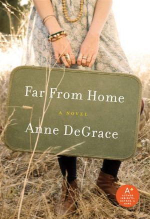 Cover of the book Far From Home by Bill Vlasic, Bradley A Stertz