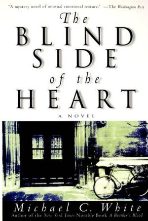 Cover of the book The Blind Side of the Heart by Jenna McKnight