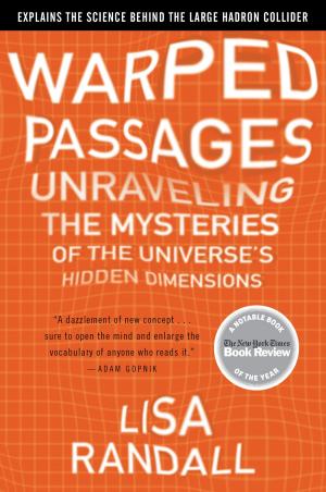 Cover of the book Warped Passages by B. Wiseman