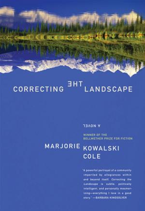 Cover of the book Correcting the Landscape by Tamar Myers