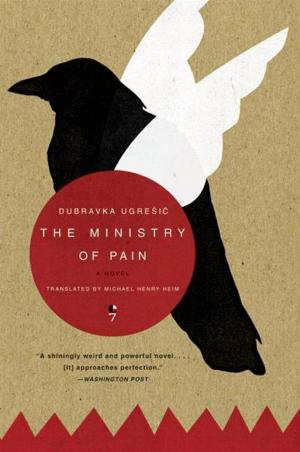 Cover of the book The Ministry of Pain by Thierry Cruvellier