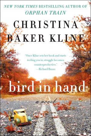 Cover of the book Bird in Hand by A.K.Aaron