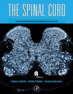 Cover of the book The Spinal Cord by Richard F Schmidt