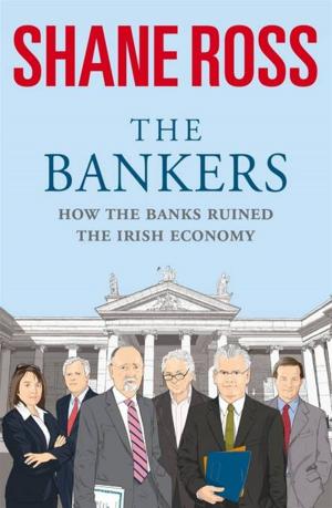 Cover of the book The Bankers by Sam Bradbury