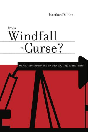 Cover of the book From Windfall to Curse? by 