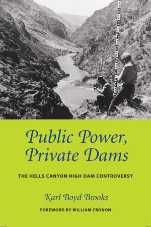Cover of the book Public Power, Private Dams by Joseph E. Taylor III