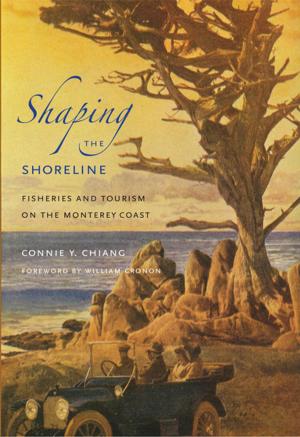 Cover of the book Shaping the Shoreline by Anthony E. Clark
