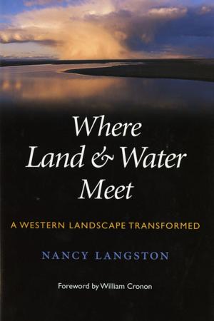 Cover of the book Where Land and Water Meet by David Stradling