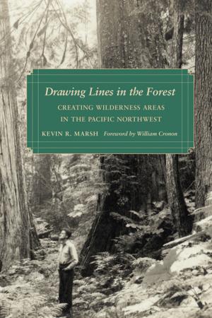 Book cover of Drawing Lines in the Forest