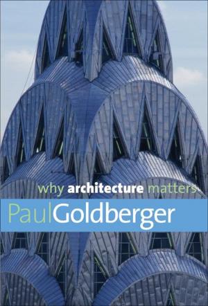 bigCover of the book Why Architecture Matters by 