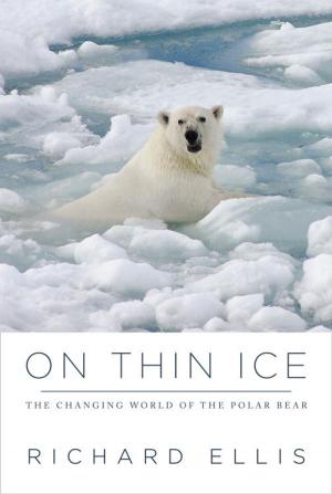 Cover of the book On Thin Ice by Sudhir Kakar