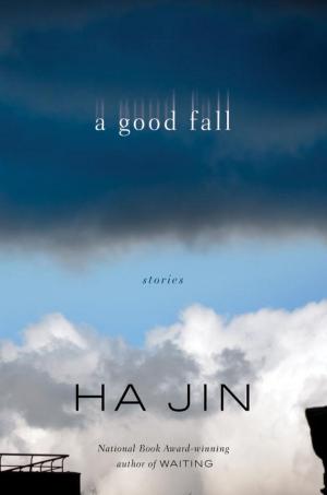 Cover of the book A Good Fall by Ani Bolton