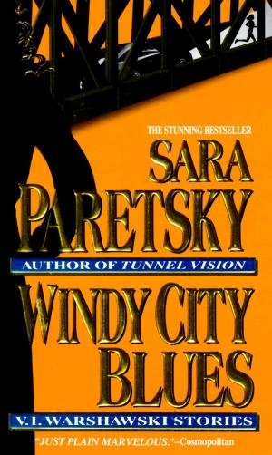 Cover of the book Windy City Blues by Peter De Rosa