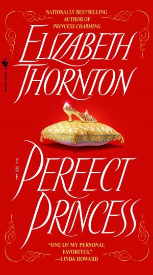 Cover of the book The Perfect Princess by Pierce Brown