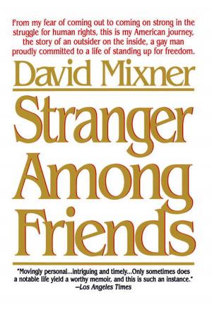 Cover of the book Stranger Among Friends by Jim Davis