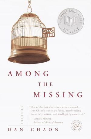 Cover of the book Among the Missing by David Schickler