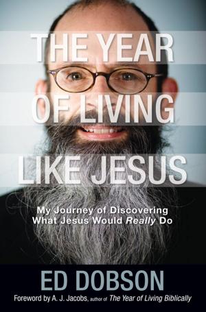 Cover of the book The Year of Living like Jesus by Amy Clipston