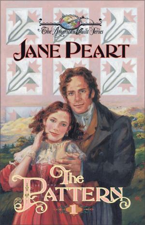 Cover of the book The Pattern by C. Kent Julian