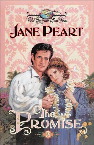 Cover of the book The Promise by Chap Clark, Dave Rahn