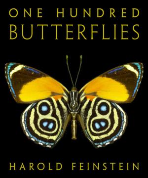 Cover of the book One Hundred Butterflies by Ansel Adams, Robert Baker
