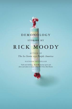 Cover of the book Demonology by James Hynes